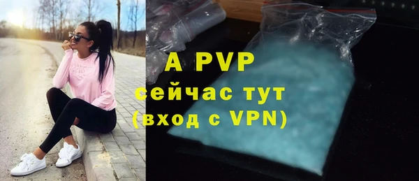 дурь Бородино