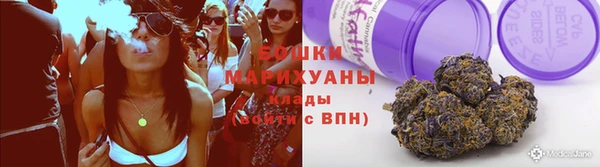 дурь Бородино