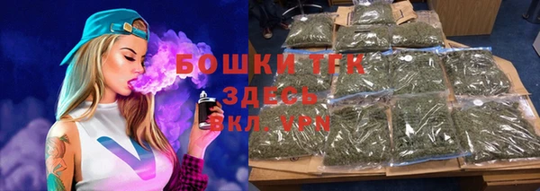 дурь Бородино
