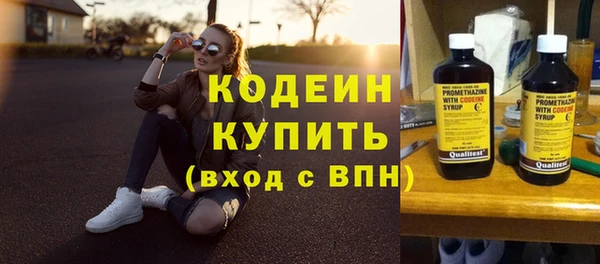 дурь Бородино