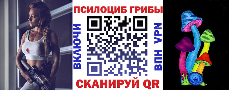 маркетплейс Telegram  Владимир  Псилоцибиновые грибы GOLDEN TEACHER 